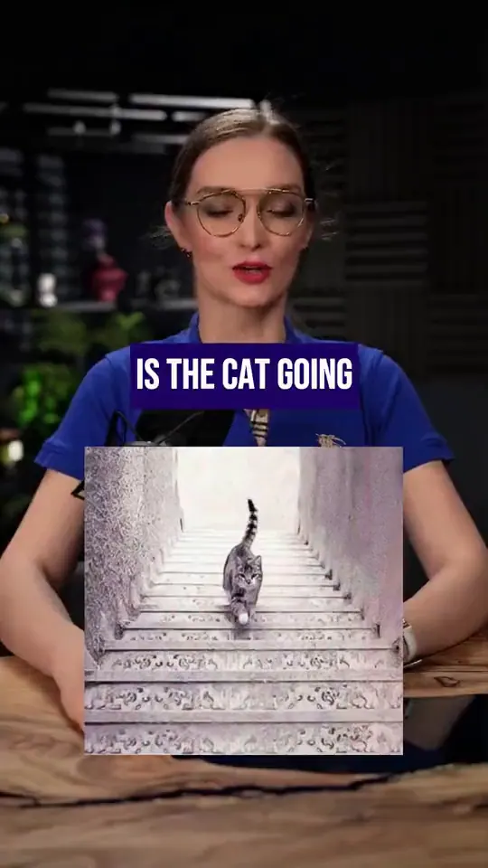 Is the cat going up or down — optimist or realist?